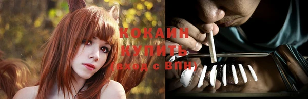 ПСИЛОЦИБИНОВЫЕ ГРИБЫ Богородск