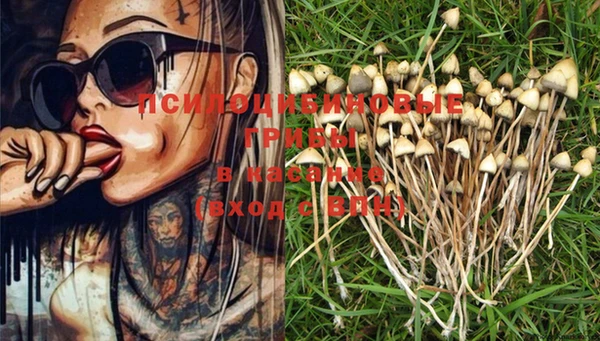 мяу мяу мука Ростов