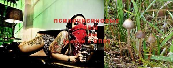 мяу мяу мука Ростов