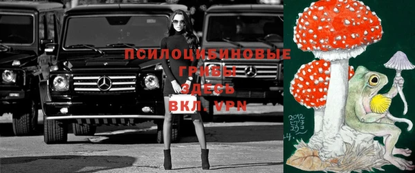 прущая мука Рославль