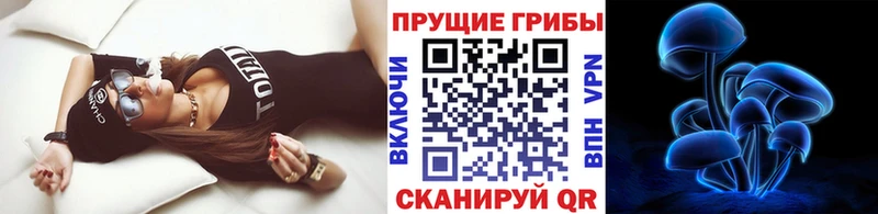 Купить где  Суровикино  Галлюциногенные грибы мицелий 