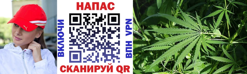 Канабис сатива  Купить закладки  Суровикино 